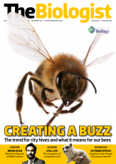Magazine /images/biologist/archive/2013_08_01_Vol60 No4 Creating a Buzz
